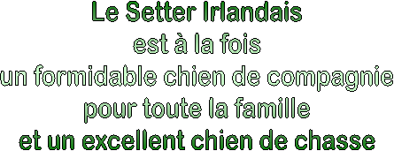 A l'aise partout !
dans les pr�s comme sur un canap�,
� la ville comme � la campagne.