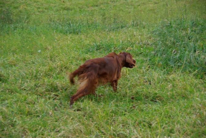photo1075