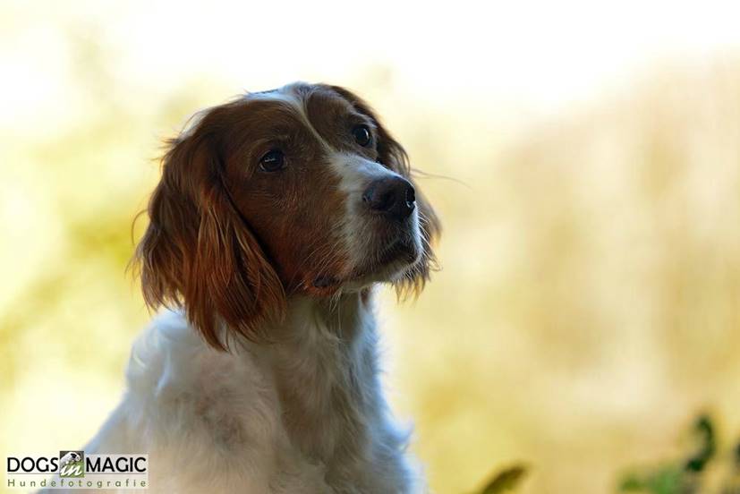 photo2127