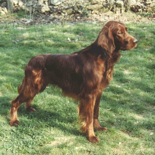 photo46