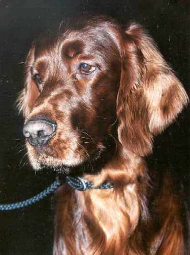 photo49