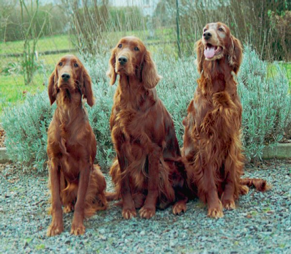 photo44